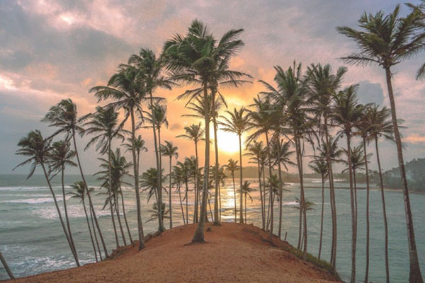 The Southern Shore — Whales, Reef & Ramparts — OnTime.lk Travel Sri Lanka